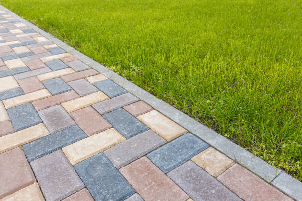 Best Decorative Driveway Pavers  in Atwood, IL